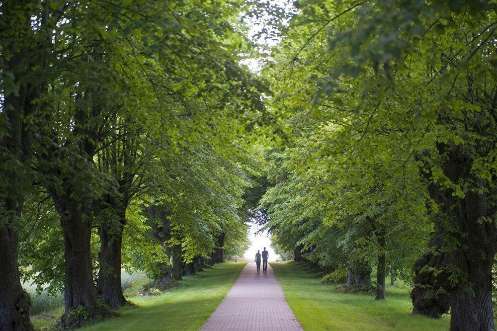 Schlossgut Groß Schwansee 외부 사진 The avenue of lime trees