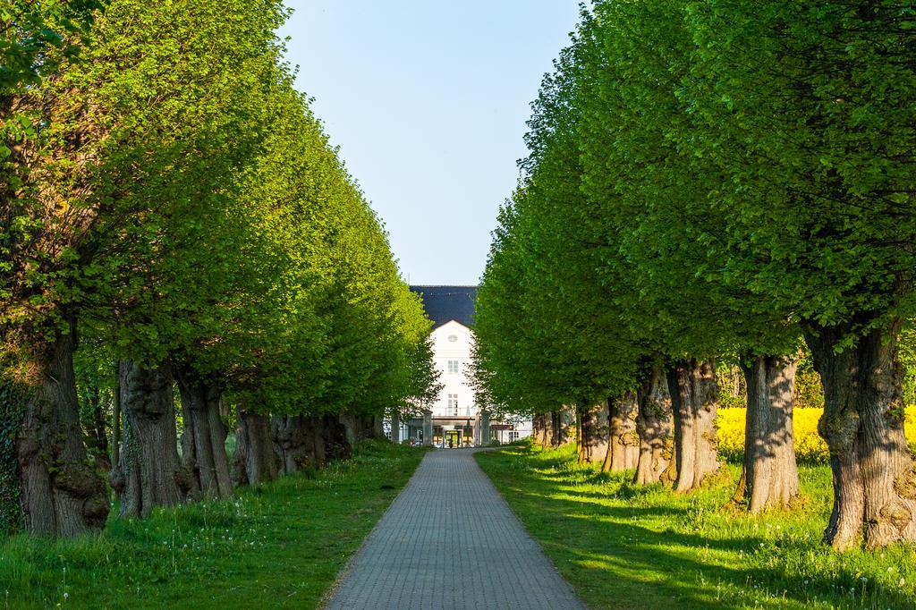 Schlossgut Groß Schwansee 외부 사진 The linden tree avenue